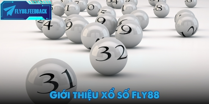 Xổ số Fly88 Giới thiệu xổ số Fly88 cho tân binh cá cược đổi thưởng
